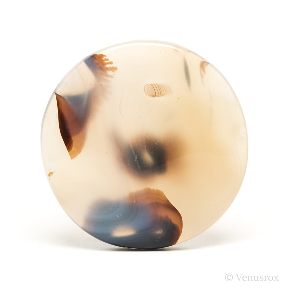 Dendritic Agate Polished Crystal from Madagascar | Venusrox