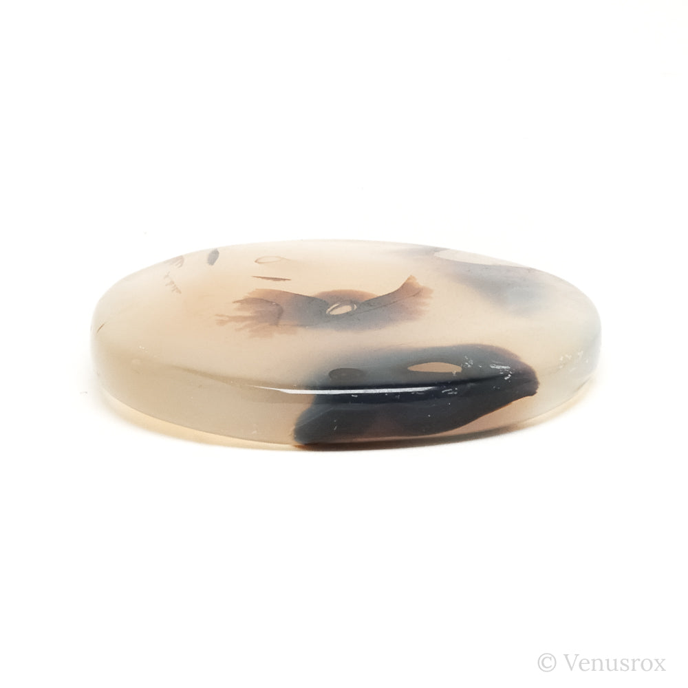 Dendritic Agate Polished Crystal from Madagascar | Venusrox