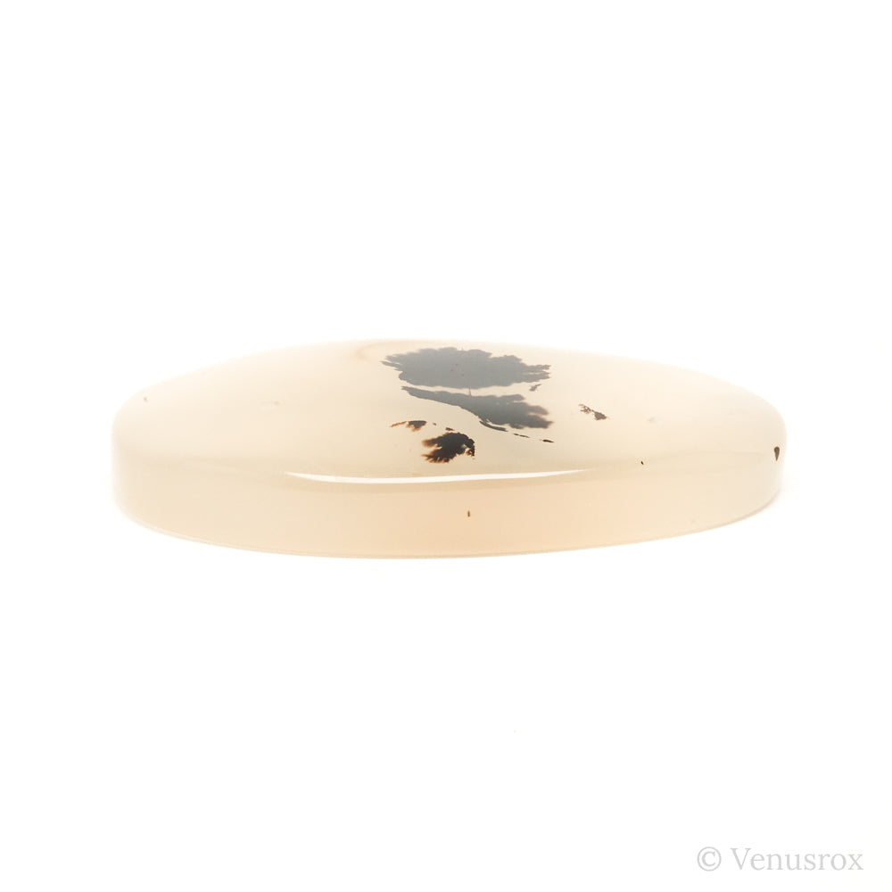 Dendritic Agate Polished Crystal from Madagascar | Venusrox