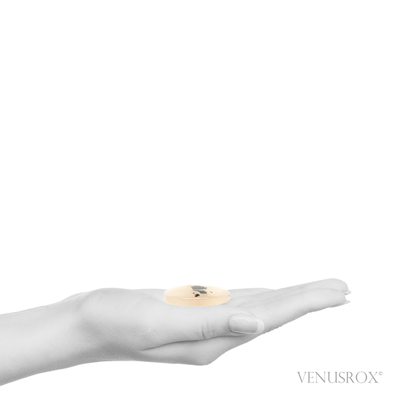 Dendritic Agate Polished Crystal from Madagascar | Venusrox