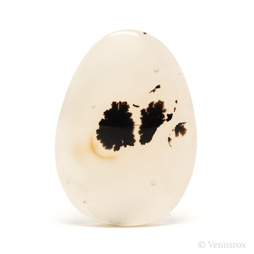Dendritic Agate Polished Crystal from Madagascar | Venusrox