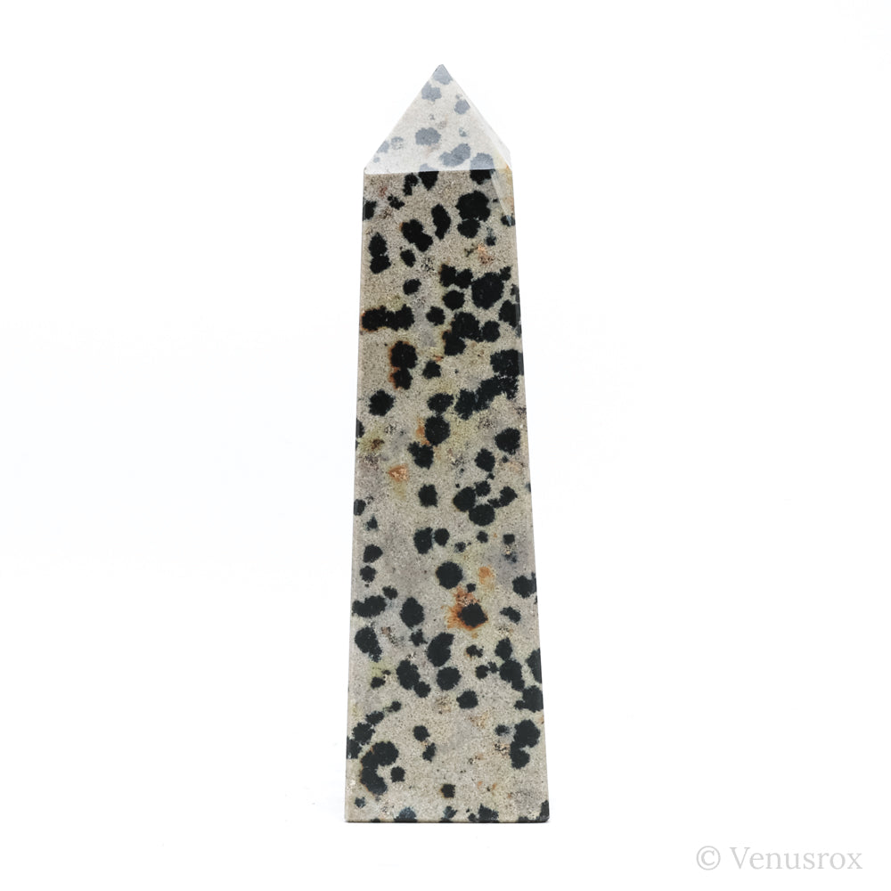 Dalmatian Jasper Polished Point from China | Venusrox