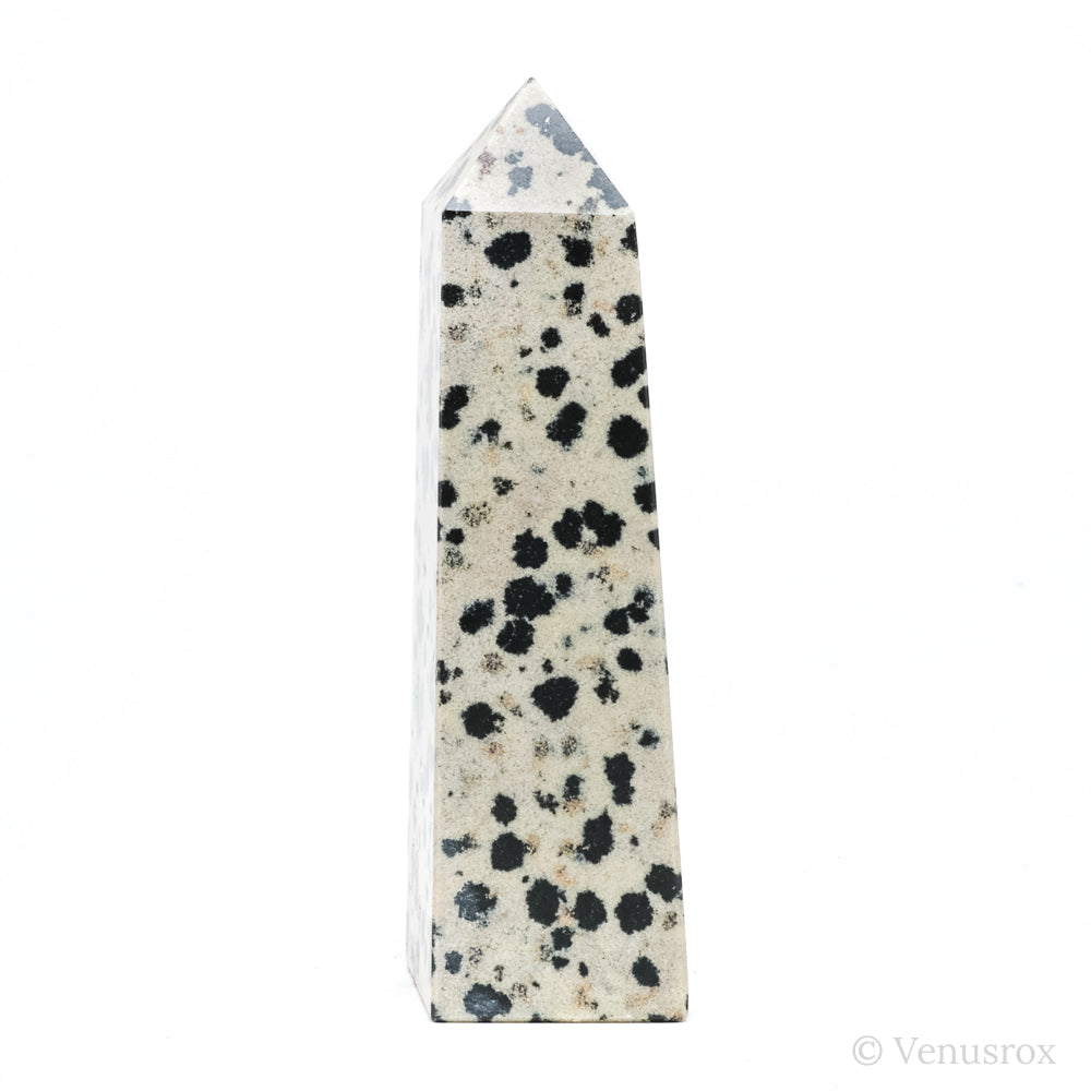 Dalmatian Jasper Polished Point from China | Venusrox