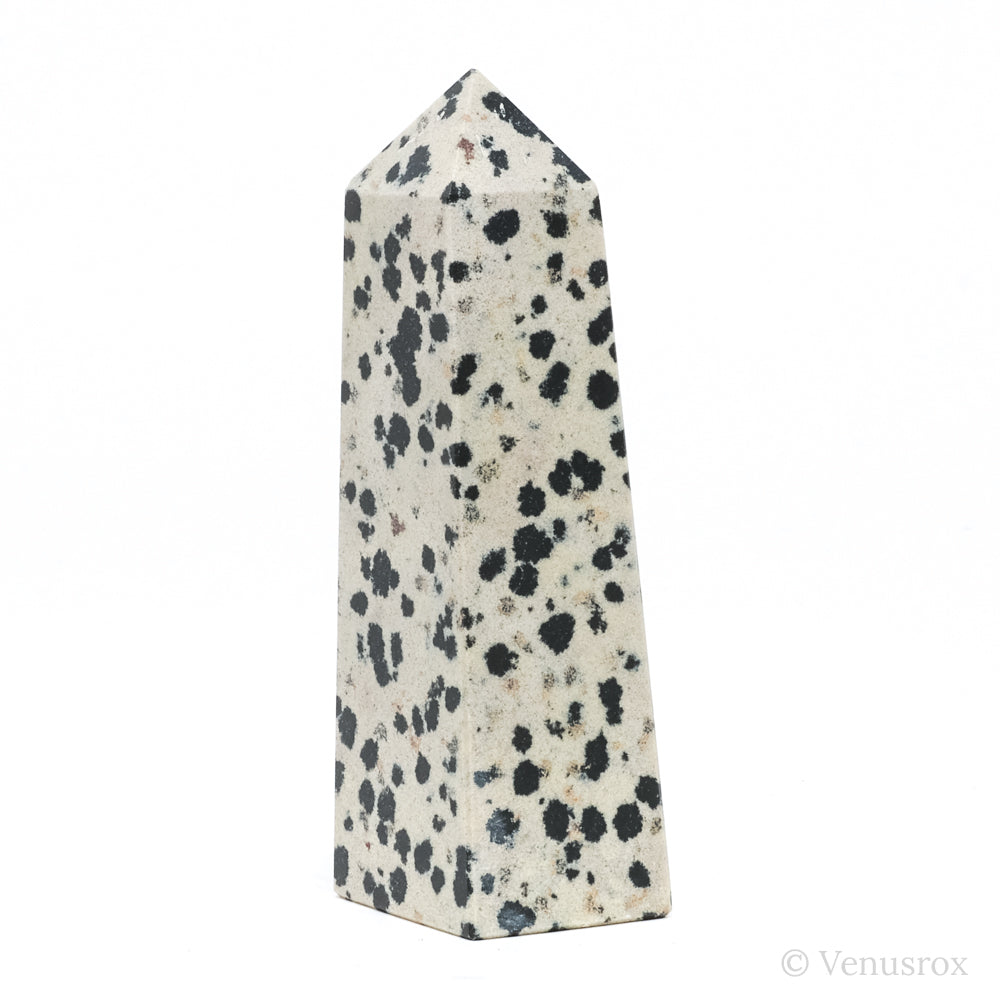 Dalmatian Jasper Polished Point from China | Venusrox
