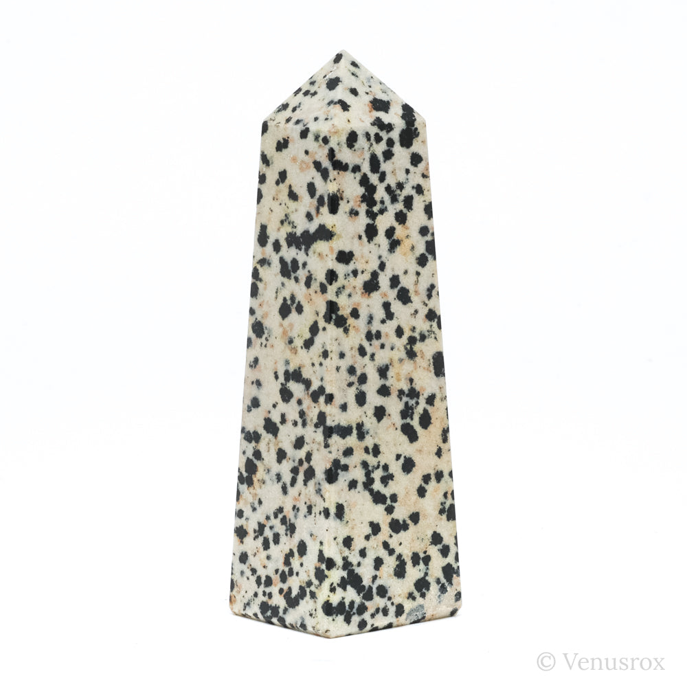 Dalmatian Jasper Polished Point from China | Venusrox