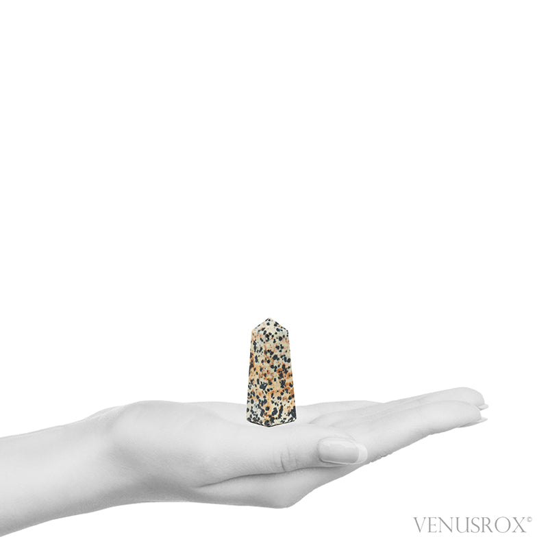 Dalmatian Jasper Polished Point from China | Venusrox