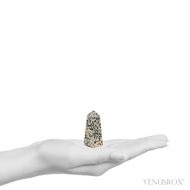 Dalmatian Jasper Polished Point from China | Venusrox