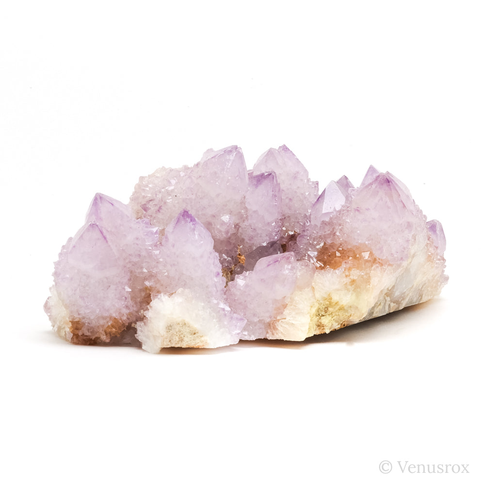 Natural Amethyst Spirit Quartz Cluster from Mpumalanga, South Africa | Venusrox
