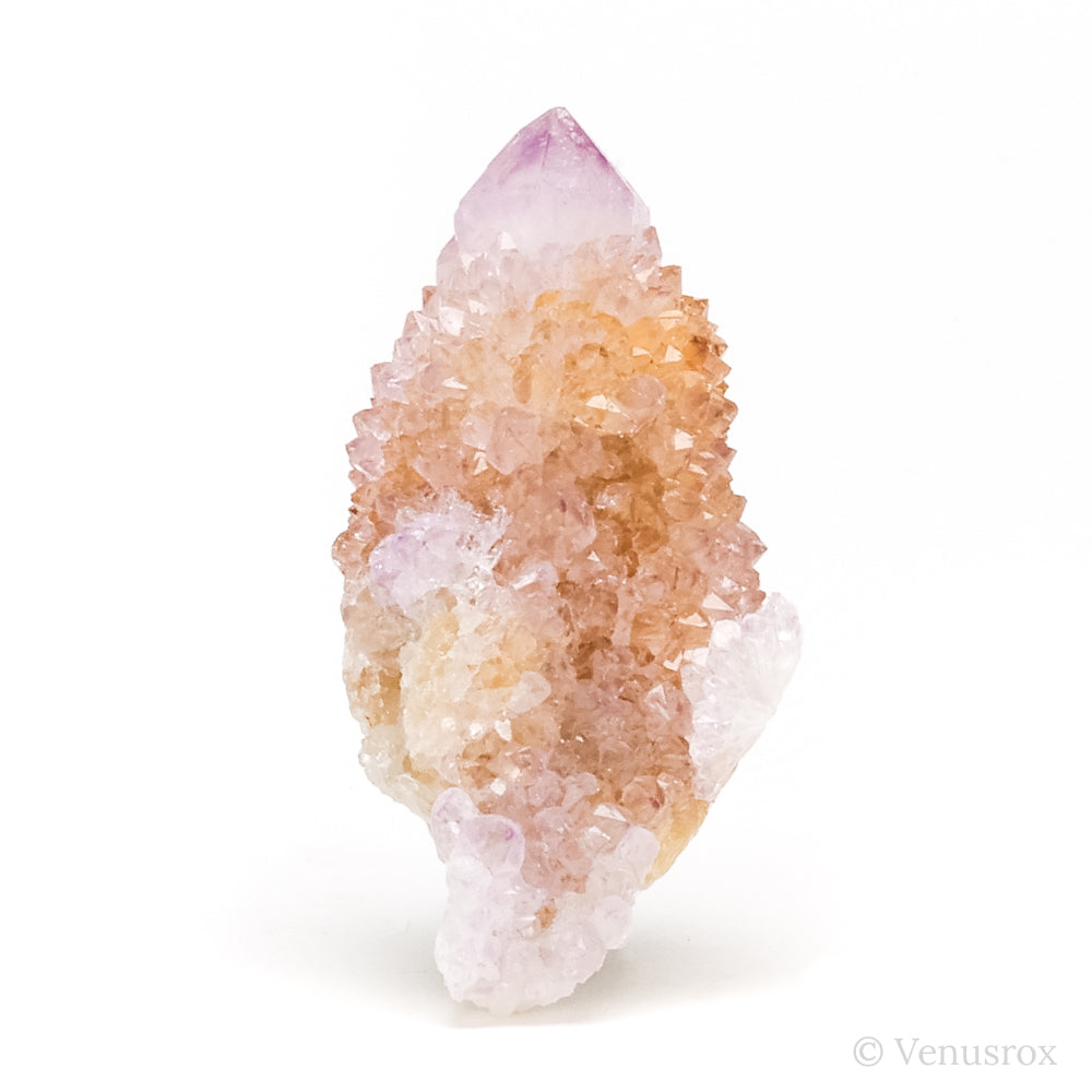 Natural Amethyst Spirit Quartz Point from Mpumalanga, South Africa | Venusrox