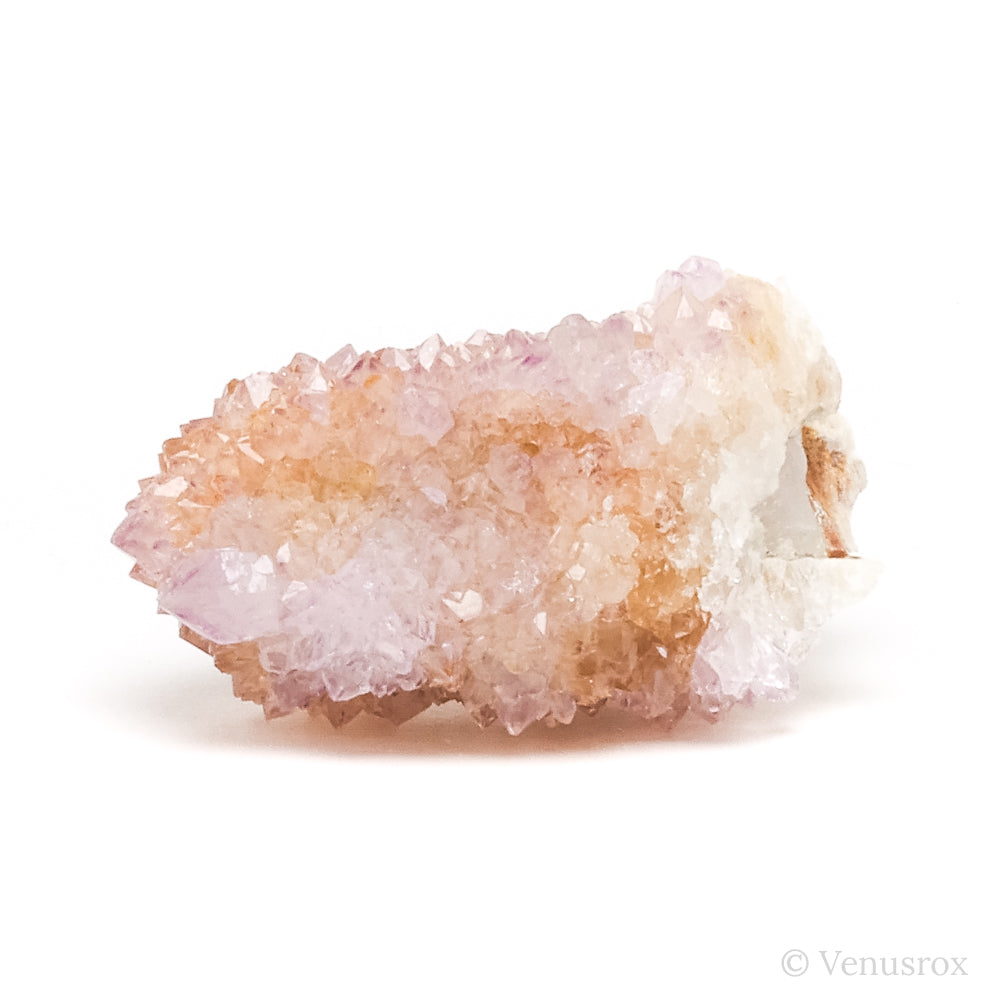 Natural Amethyst Spirit Quartz Cluster from Mpumalanga, South Africa | Venusrox