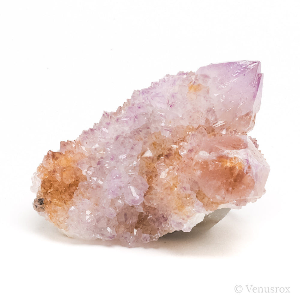 Natural Amethyst Spirit Quartz Cluster from Mpumalanga, South Africa | Venusrox
