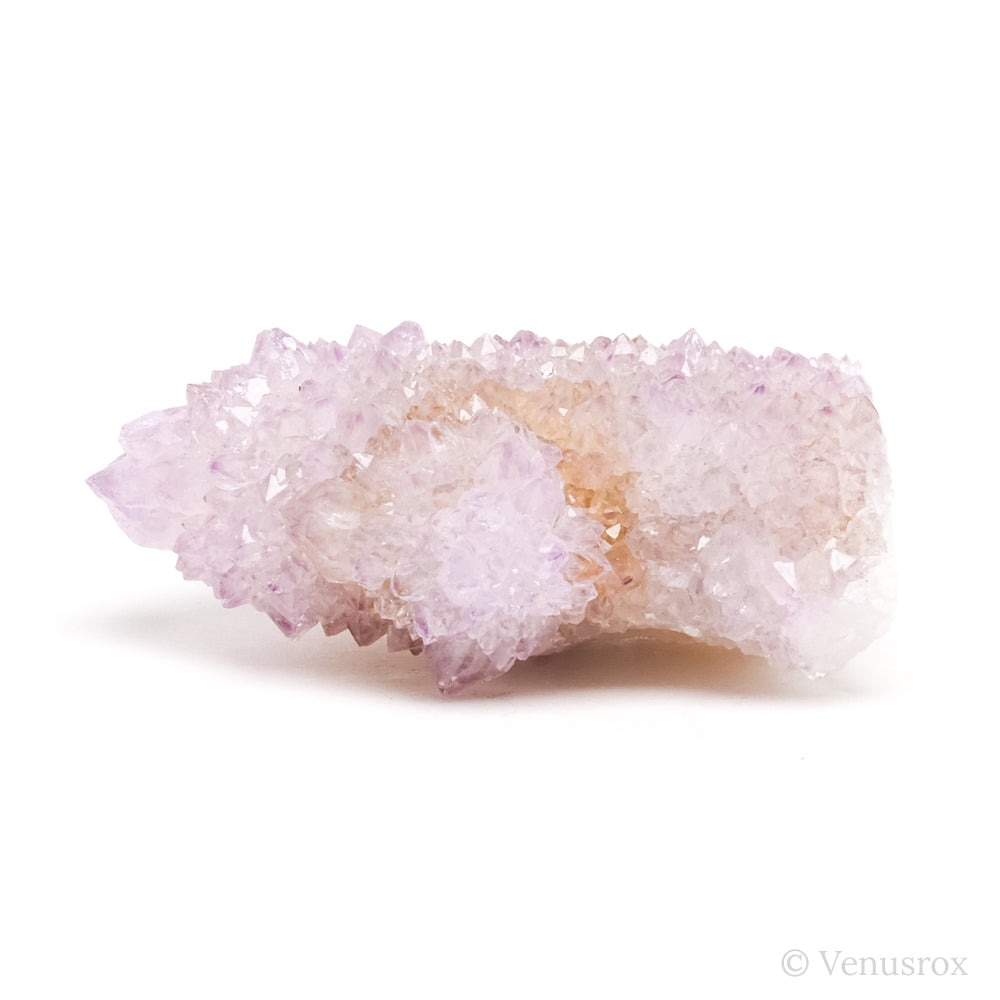 Natural Amethyst Spirit Quartz Point from Mpumalanga, South Africa | Venusrox