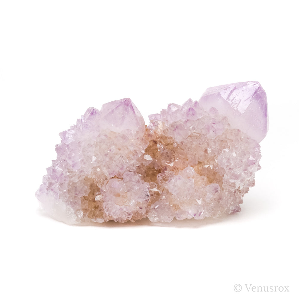 Natural Amethyst Spirit Quartz Cluster from Mpumalanga, South Africa | Venusrox