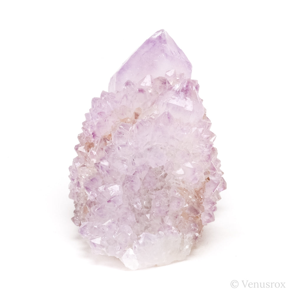 Natural Amethyst Spirit Quartz Cluster from Mpumalanga, South Africa | Venusrox