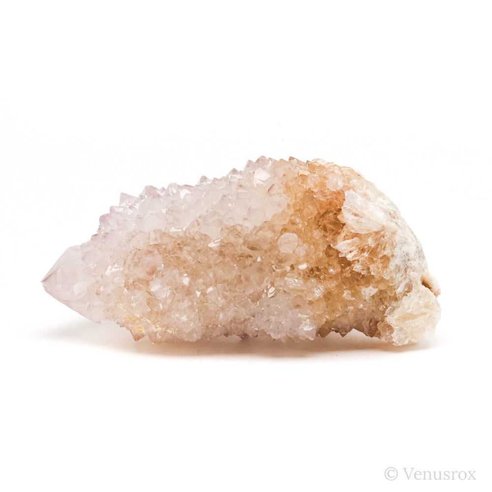 Natural Amethyst Spirit Quartz Point from Mpumalanga, South Africa | Venusrox