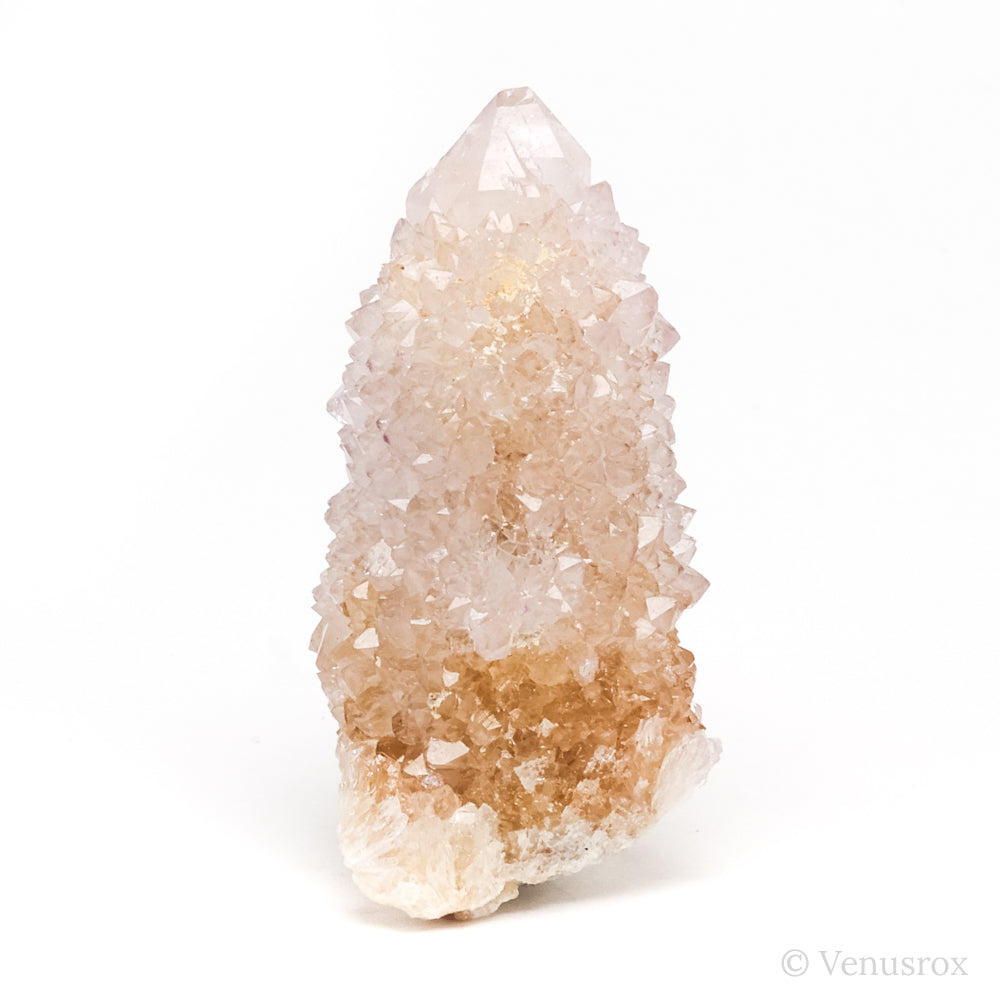 Natural Amethyst Spirit Quartz Point from Mpumalanga, South Africa | Venusrox
