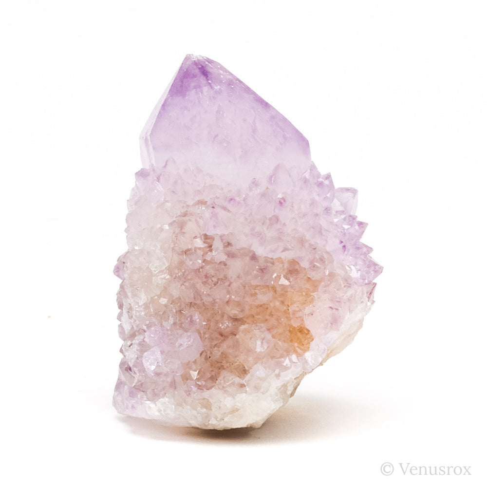 Natural Amethyst Spirit Quartz Point from Mpumalanga, South Africa | Venusrox