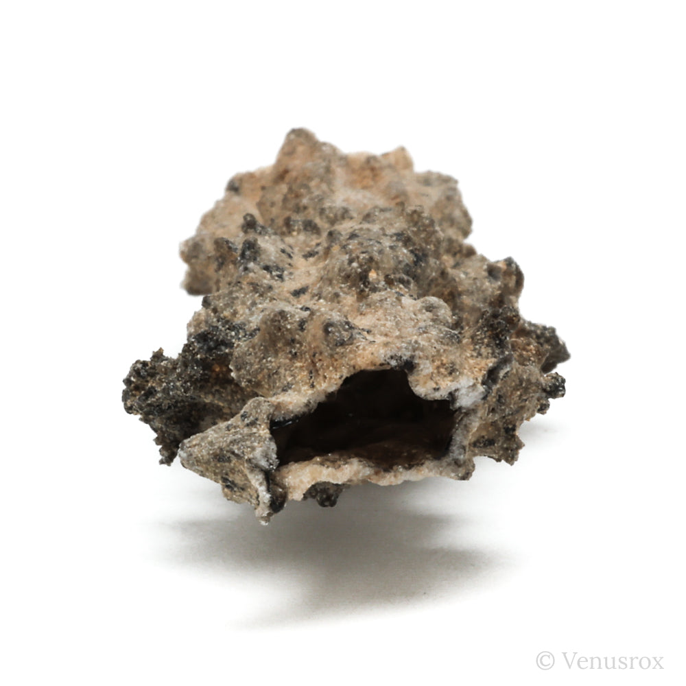 Fulgurite from North Africa | Venusrox
