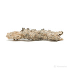 Fulgurite from North Africa | Venusrox