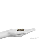 Fulgurite from North Africa | Venusrox