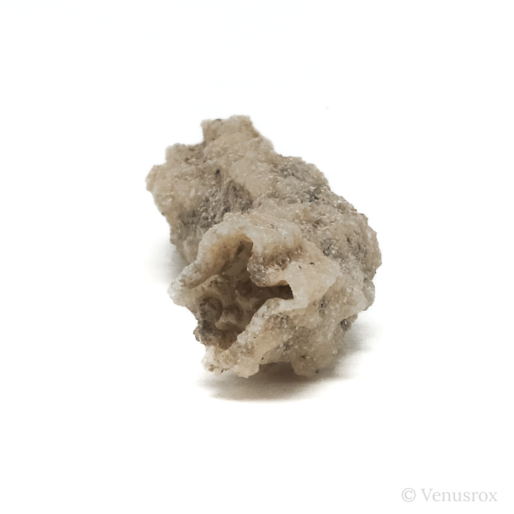 Fulgurite from North Africa | Venusrox