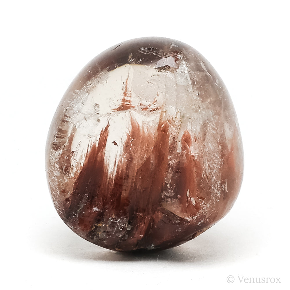Amphibole Quartz Polished/Natural Crystal from Brazil | Venusrox