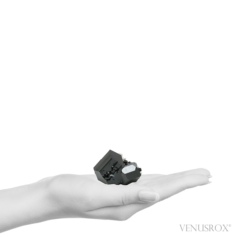 Black Tourmaline with Smoky Quartz Natural Cluster from Rondekop, Erongo Mountains, Karibib District, Erongo Region, Namibia | Venusrox