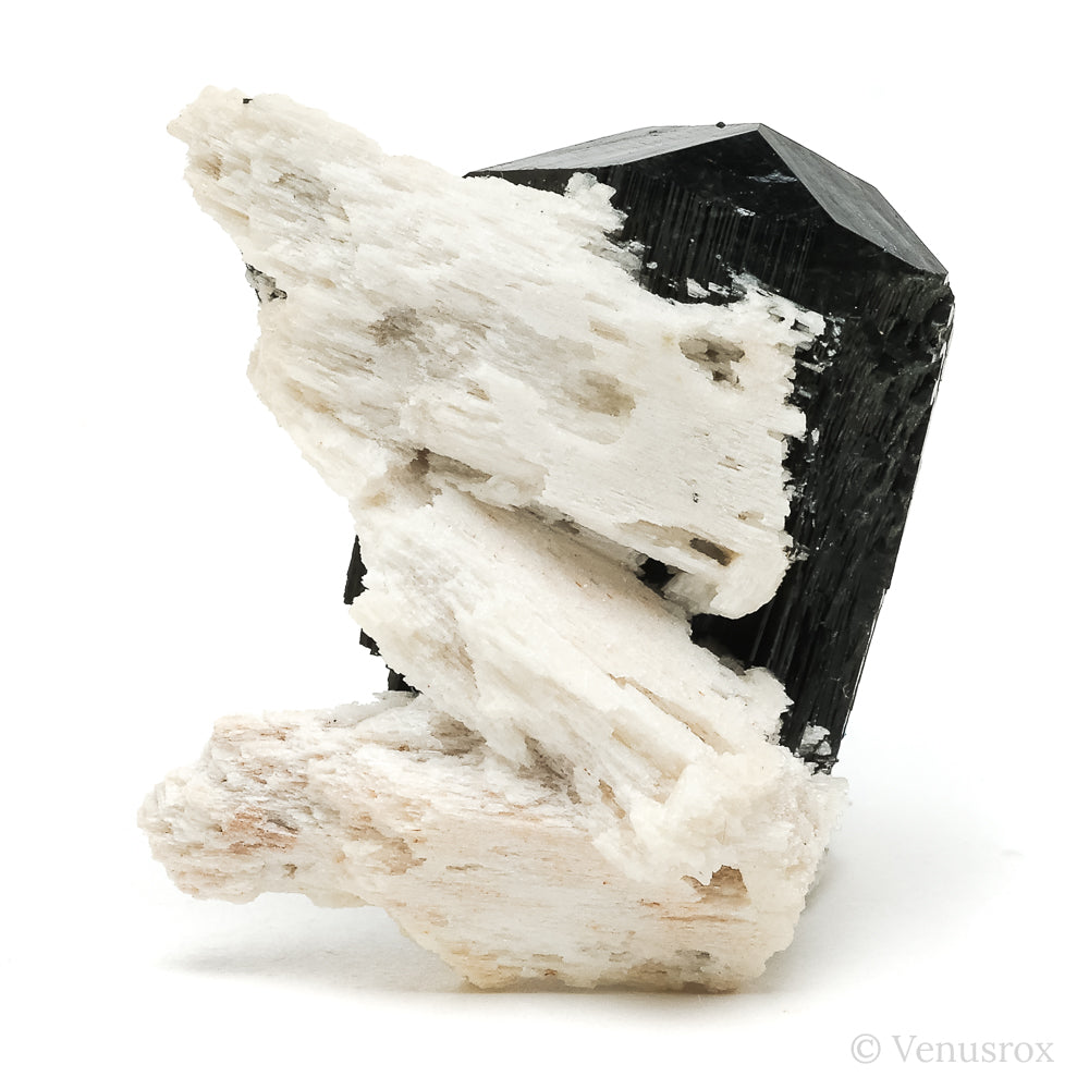 Black Tourmaline with Feldspar Natural Cluster from the Erongo Mountains, Namibia | Venusrox