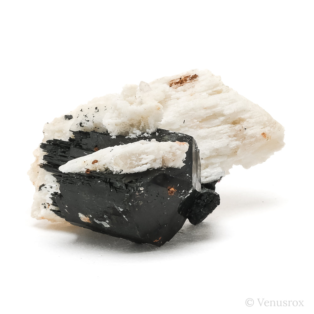 Black Tourmaline with Feldspar Natural Cluster from the Erongo Mountains, Namibia | Venusrox