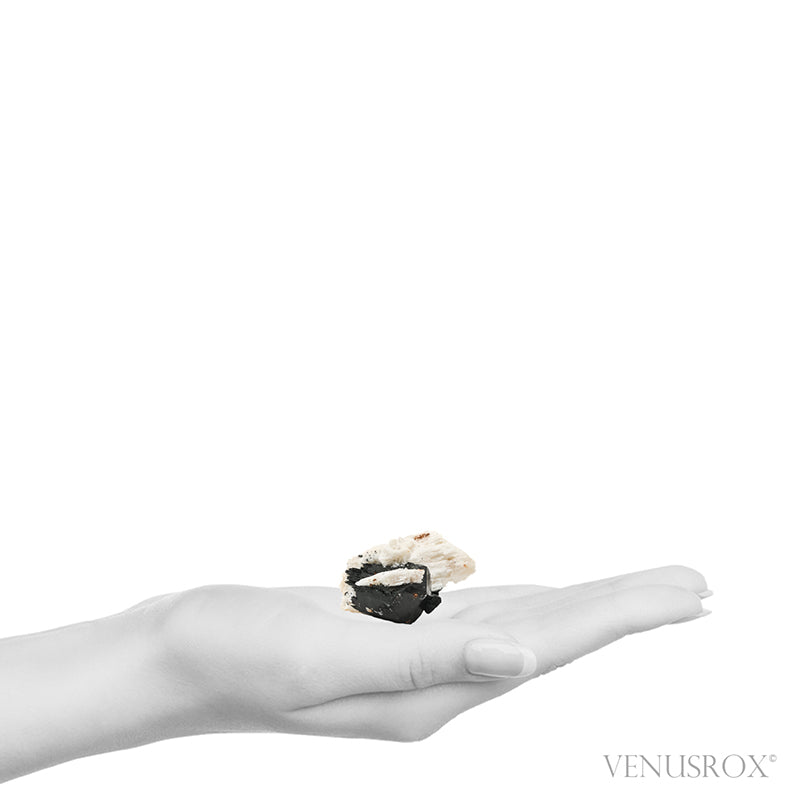 Black Tourmaline with Feldspar Natural Cluster from the Erongo Mountains, Namibia | Venusrox