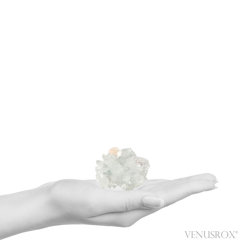 Apophyllite with Stilbite Natural Cluster from Maharashtra, India | Venusrox
