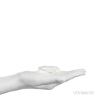 Lemurian Quartz Polished Crystal from Brazil | Venusrox