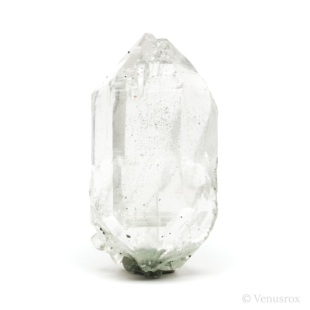 Himalayan Chlorite Phantom Quartz with Anatase Natural Cluster from the Indian Himalayas | Venusrox