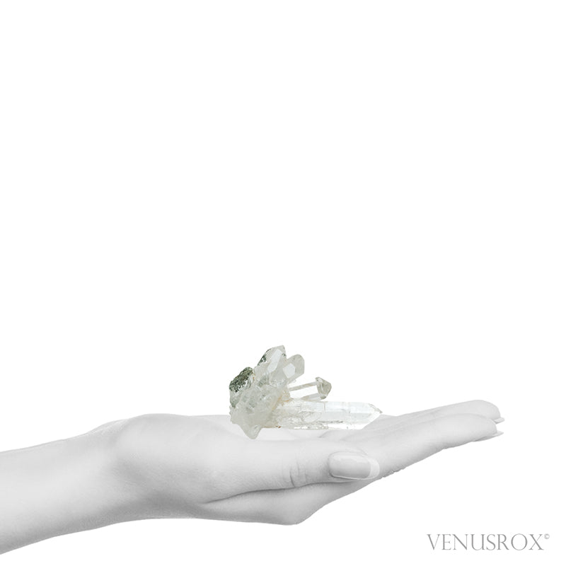 Himalayan Chlorite Quartz Natural Cluster from the Indian Himalayas | Venusrox