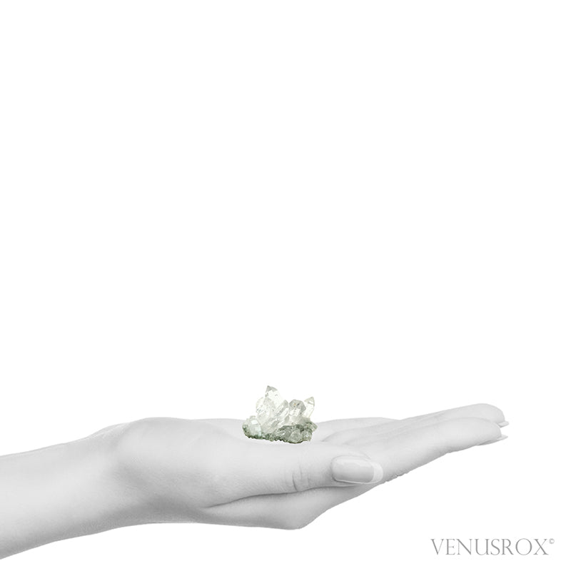 Himalayan Chlorite Quartz Natural Cluster from the Indian Himalayas | Venusrox