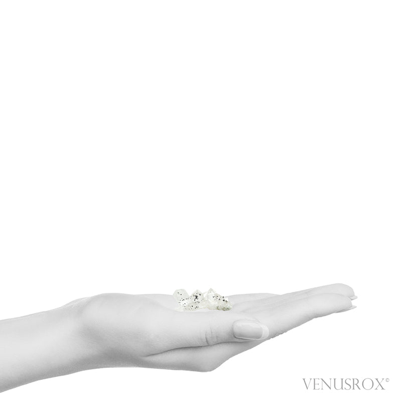Himalayan Chlorite Quartz with Anatase Natural Cluster from the Indian Himalayas | Venusrox
