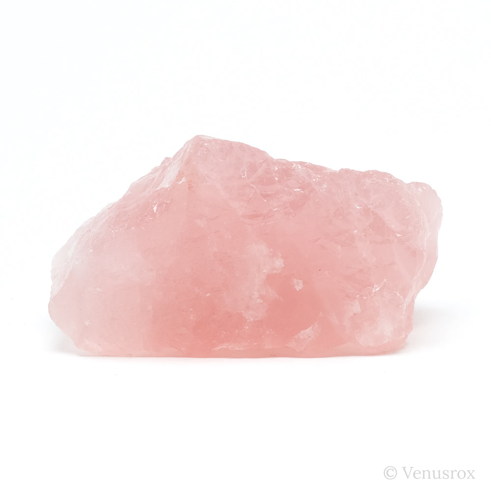 Rose Quartz Natural Crystal from Brazil | Venusrox