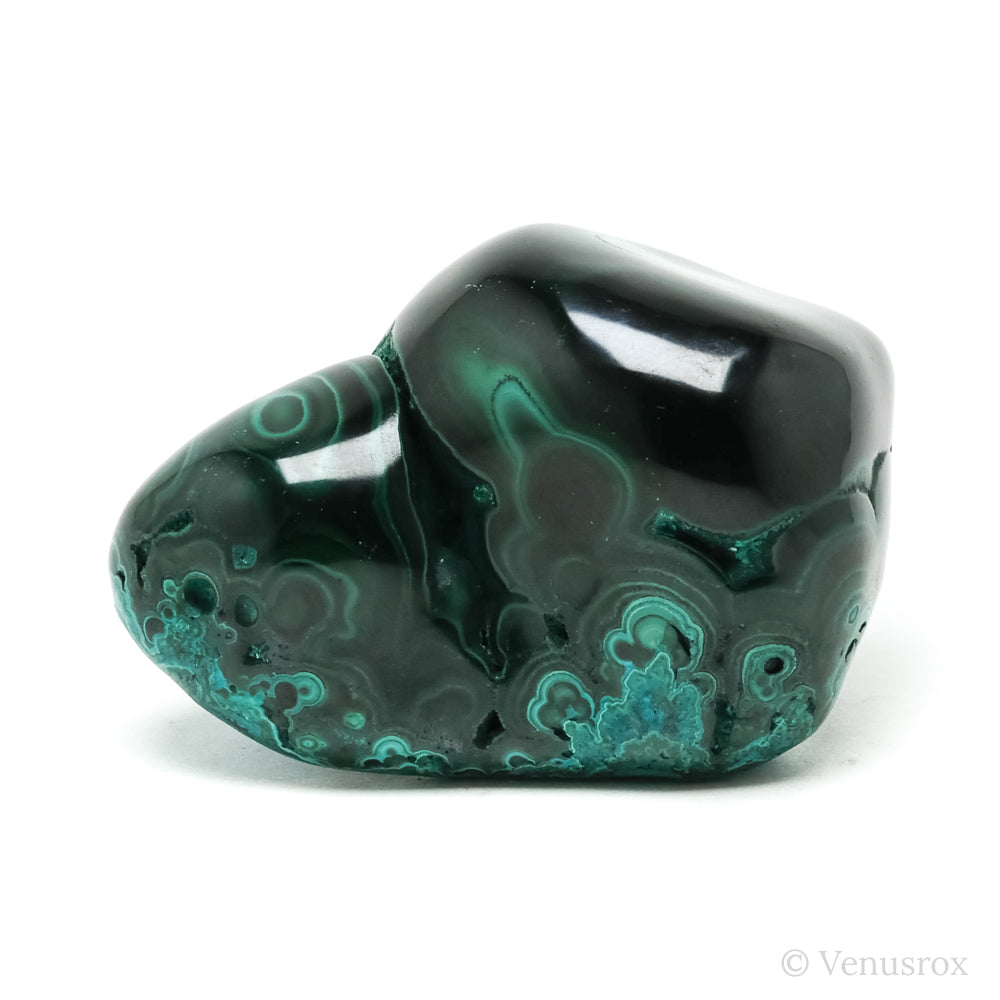 Malachite with Chrysocolla Polished Crystal from the Democratic Republic of Congo | Venusrox