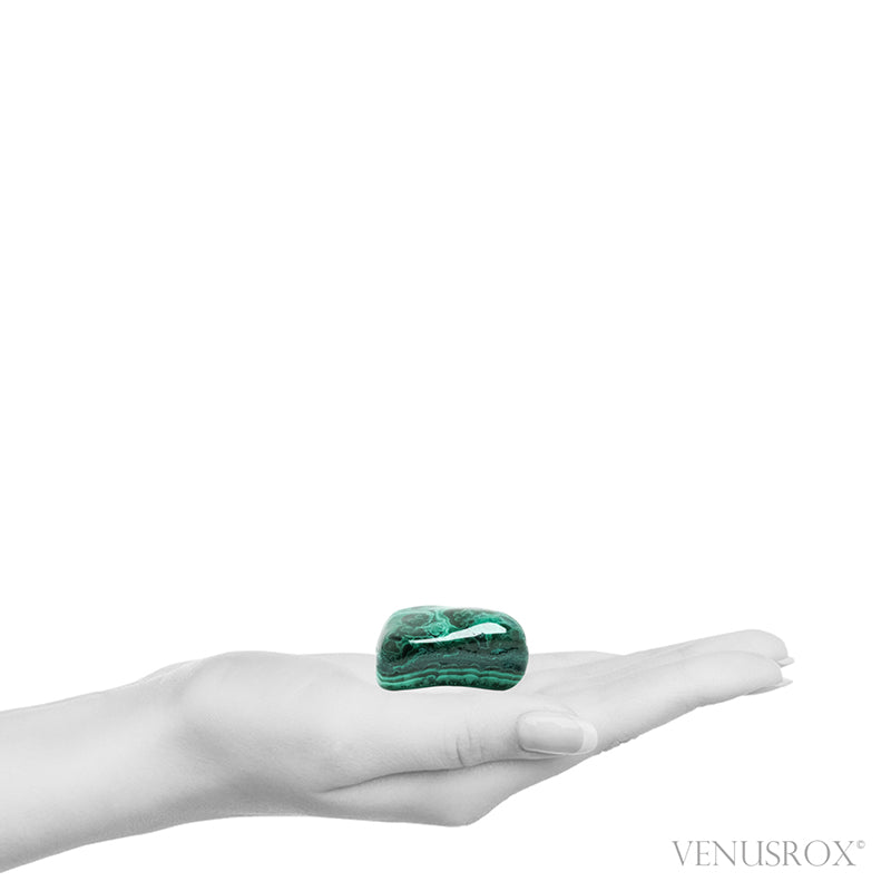 Malachite with Chrysocolla Polished Crystal from the Democratic Republic of Congo | Venusrox