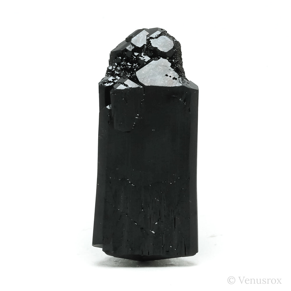 Black Tourmaline Natural Crystal from the Erongo Mountains, Namibia | Venusrox