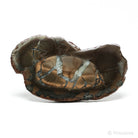 Septarian with Pyrite Part Polished/Part Natural Crystal from Vöhrum, Germany | Venusrox