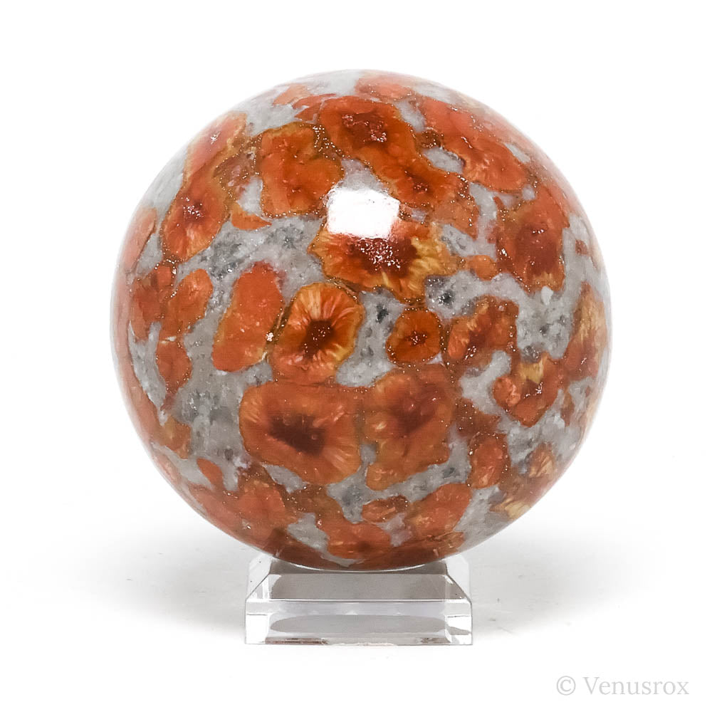 Orbicular Jasper Polished Sphere from India | Venusrox