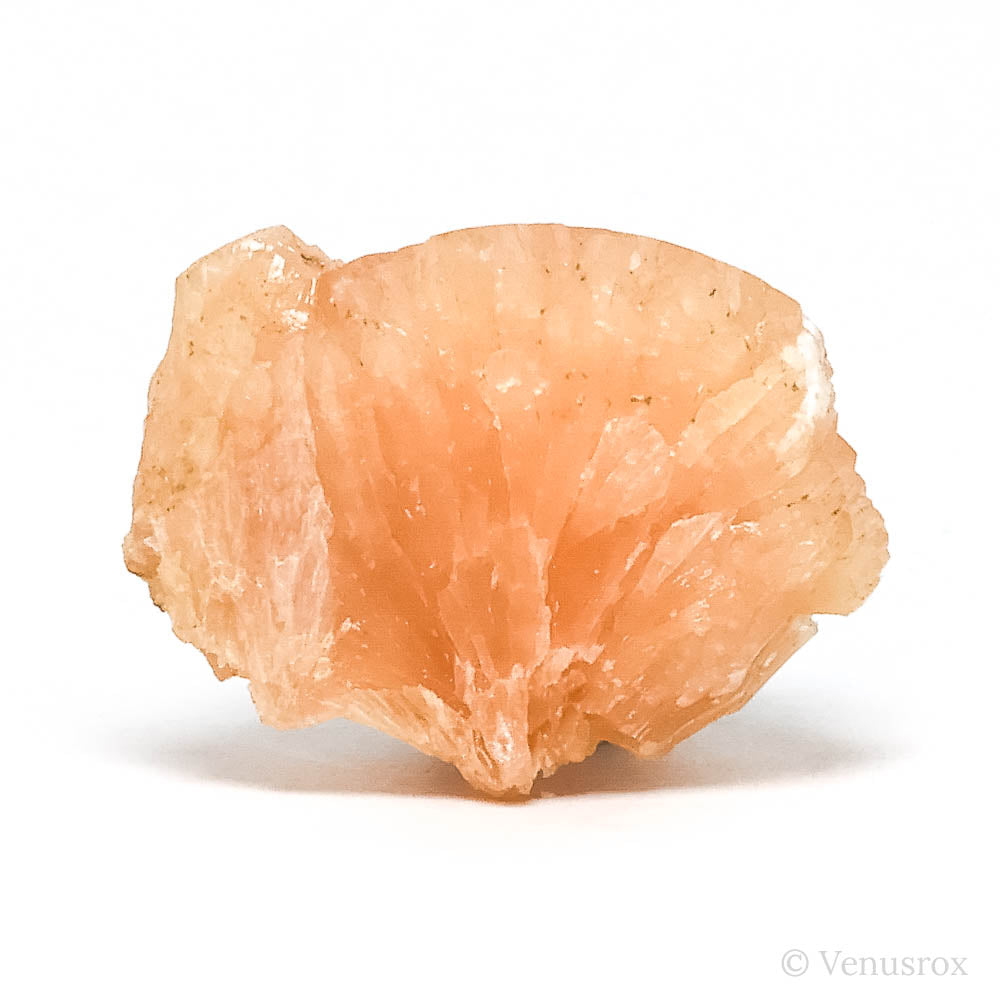 Stilbite Natural Cluster from Jalgaon, Maharashtra, India | Venusrox