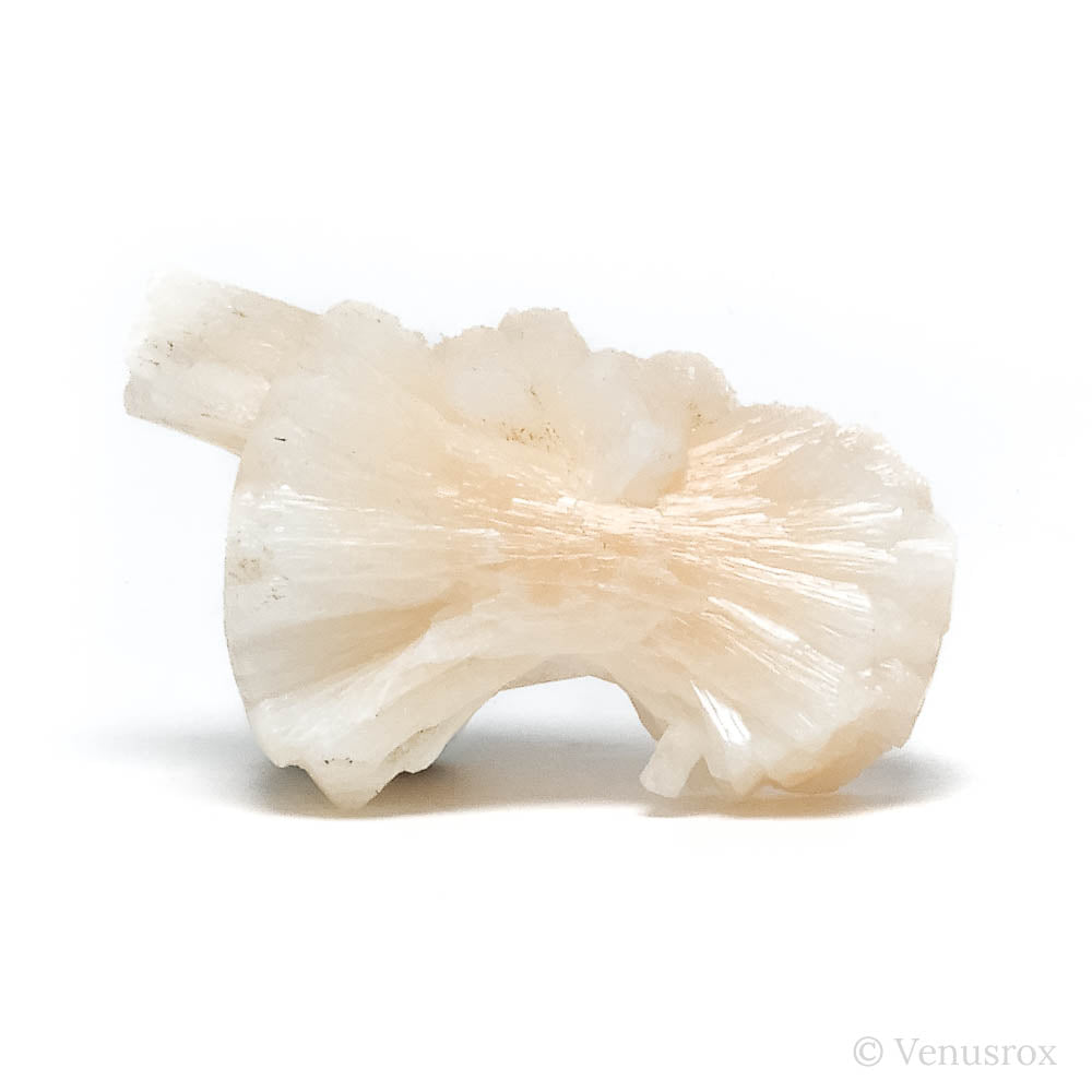 Stilbite Natural 'Bow-tie' from Pune District, Maharashtra, India | Venusrox