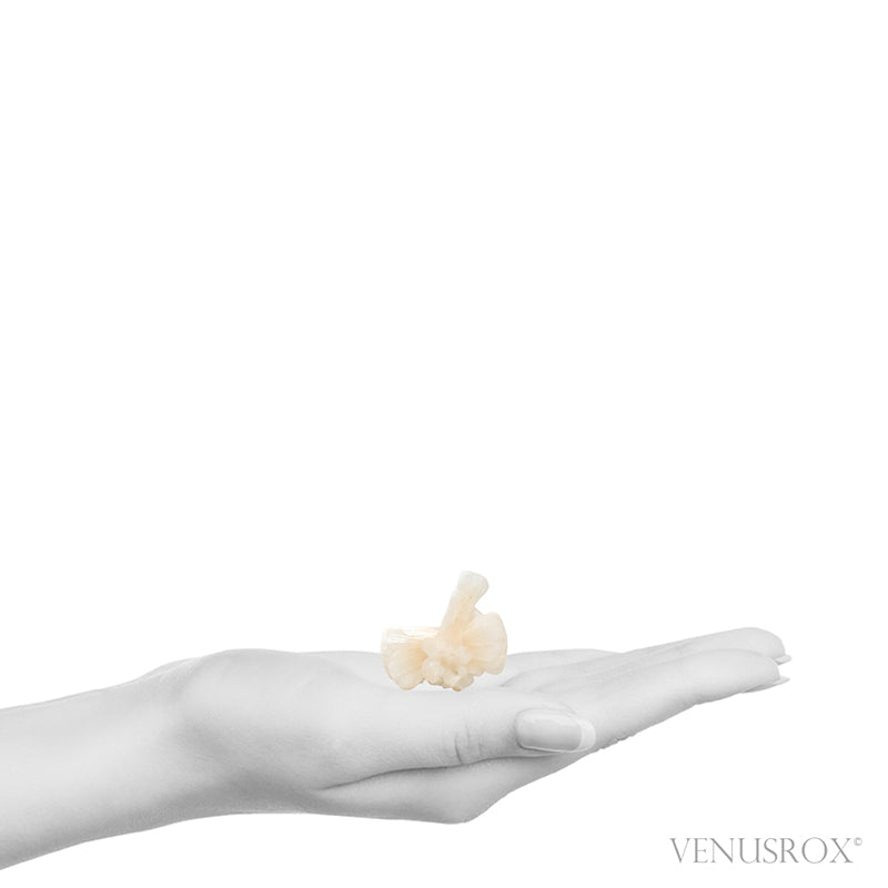 Stilbite Natural Cluster from Jalgaon, Maharashtra, India | Venusrox