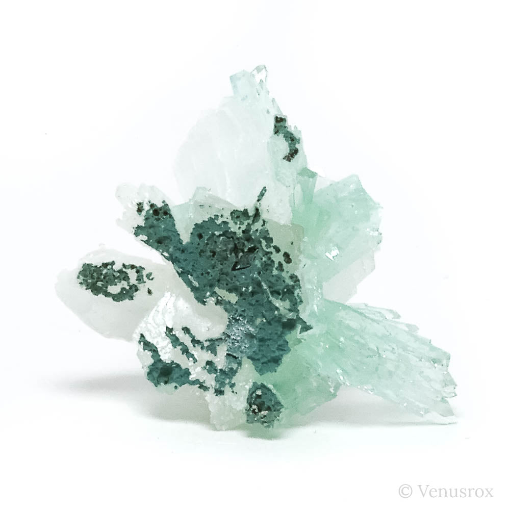 Green Apophyllite & Stilbite Cluster from Maharashtra, India | Venusrox