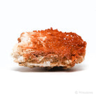 Vanadinite on Barite Natural Specimen from Mibladen, Midelt, Meknes-Tafilalet Region, Morocco | Venusrox