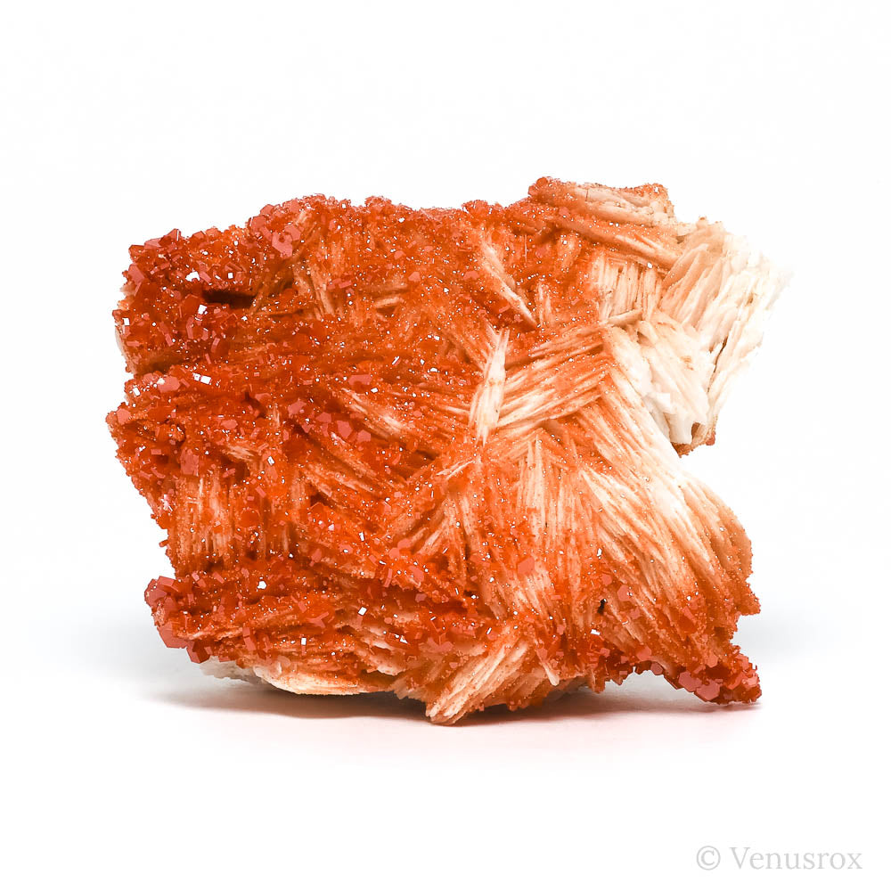 Vanadinite on Barite Natural Specimen from Mibladen, Midelt, Meknes-Tafilalet Region, Morocco | Venusrox
