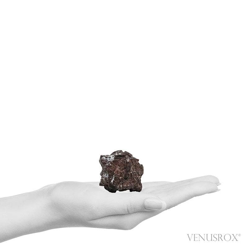 Prophecy Stone from the Farafra Oasis, White Desert, SW Egypt | Venusrox