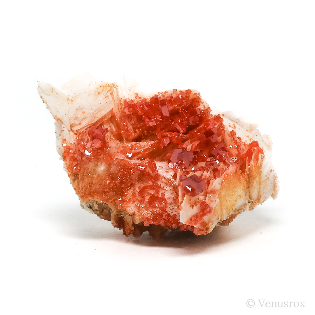 Vanadinite on Barite Natural Specimen from Mibladen, Midelt, Meknes-Tafilalet Region, Morocco | Venusrox